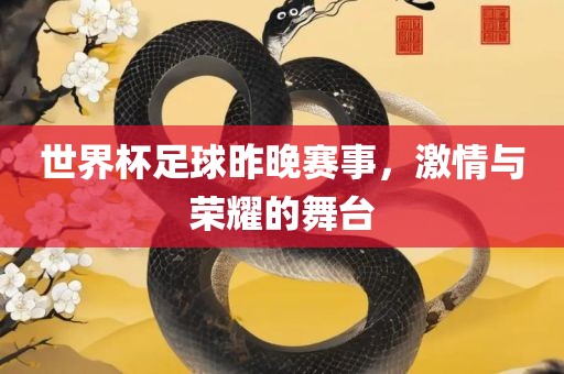 世界杯足球昨晚赛事，激情与荣耀的舞台