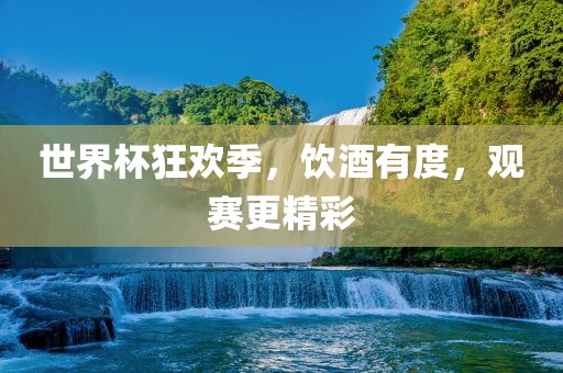 世界杯狂欢季，饮酒有度，观赛更精彩