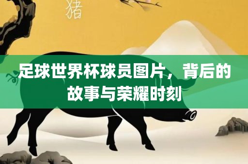 足球世界杯球员图片，背后的故事与荣耀时刻