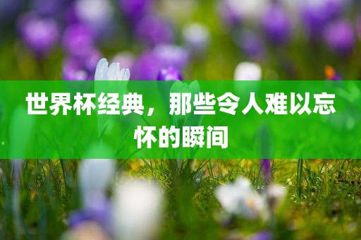 世界杯经典，那些令人难以忘怀的瞬间
