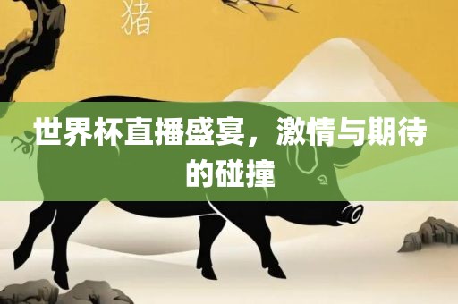 世界杯直播盛宴，激情与期待的碰撞