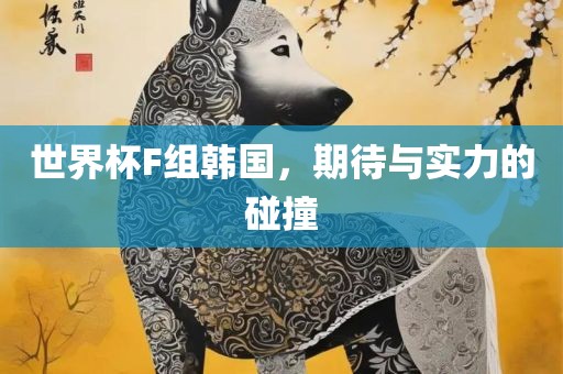 世界杯F组韩国，期待与实力的碰撞