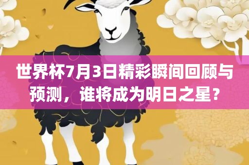 世界杯7月3日精彩瞬间回顾与预测，谁将成为明日之星？