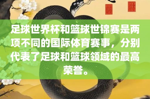足球世界杯和篮球世锦赛是两项不同的国际体育赛事，分别代表了足球和篮球领域的最高荣誉。
