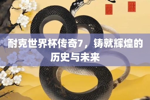 耐克世界杯传奇7，铸就辉煌的历史与未来