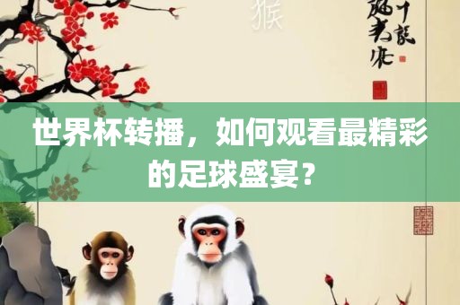 世界杯转播，如何观看最精彩的足球盛宴？