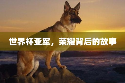 世界杯亚军，荣耀背后的故事
