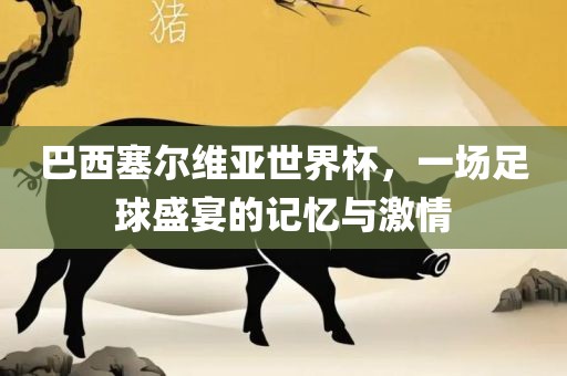 巴西塞尔维亚世界杯，一场足球盛宴的记忆与激情