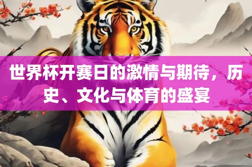 世界杯开赛日的激情与期待，历史、文化与体育的盛宴