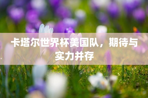 卡塔尔世界杯美国队，期待与实力并存