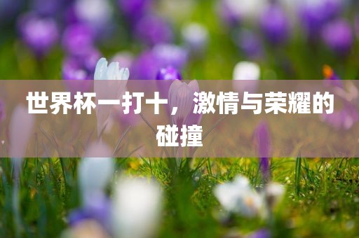 世界杯一打十，激情与荣耀的碰撞