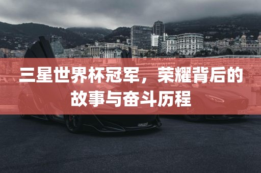 三星世界杯冠军，荣耀背后的故事与奋斗历程