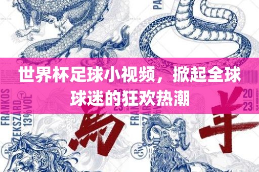 世界杯足球小视频，掀起全球球迷的狂欢热潮