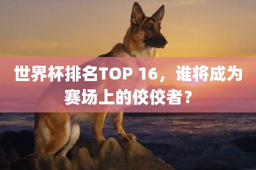 世界杯排名TOP 16，谁将成为赛场上的佼佼者？