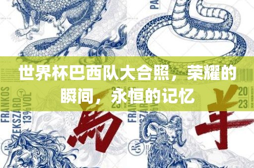 世界杯巴西队大合照，荣耀的瞬间，永恒的记忆