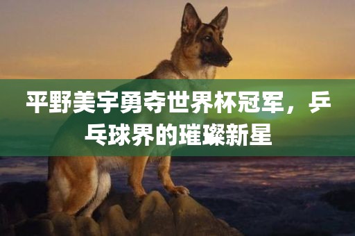 平野美宇勇夺世界杯冠军，乒乓球界的璀璨新星