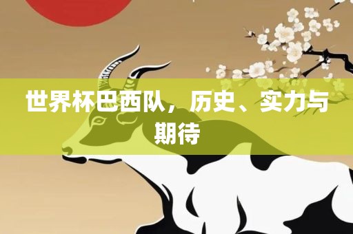 世界杯巴西队，历史、实力与期待