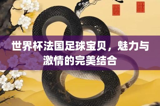 世界杯法国足球宝贝，魅力与激情的完美结合