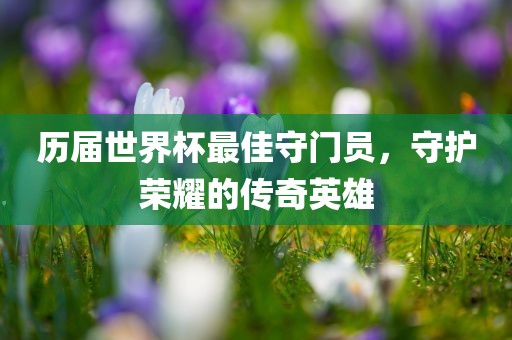 历届世界杯最佳守门员，守护荣耀的传奇英雄