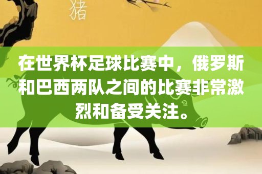 在世界杯足球比赛中，俄罗斯和巴西两队之间的比赛非常激烈和备受关注。