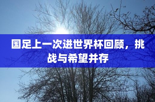 国足上一次进世界杯回顾，挑战与希望并存