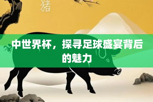 中世界杯，探寻足球盛宴背后的魅力