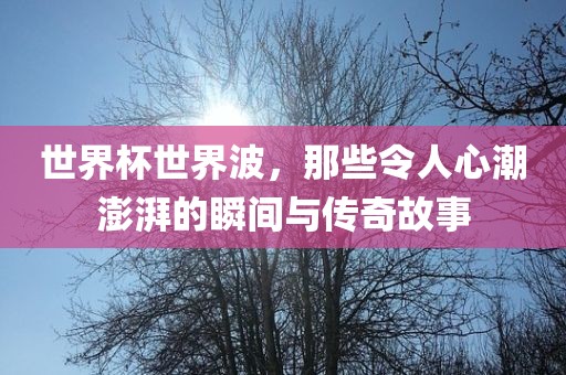 世界杯世界波，那些令人心潮澎湃的瞬间与传奇故事