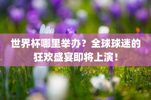 世界杯哪里举办？全球球迷的狂欢盛宴即将上演！