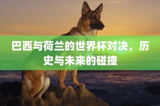 巴西与荷兰的世界杯对决，历史与未来的碰撞