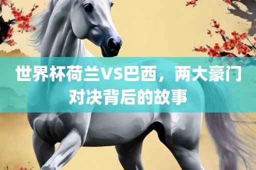 世界杯荷兰VS巴西，两大豪门对决背后的故事
