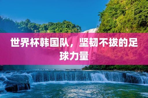 世界杯韩国队，坚韧不拔的足球力量