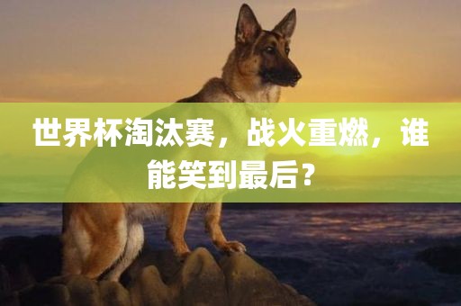 世界杯淘汰赛，战火重燃，谁能笑到最后？