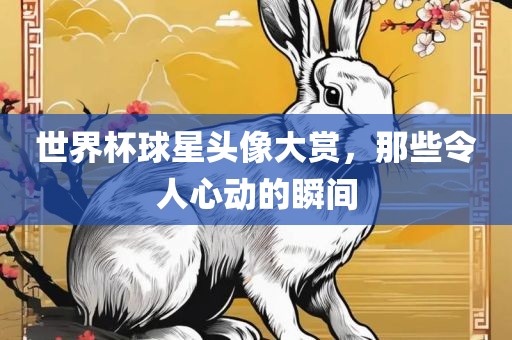 世界杯球星头像大赏，那些令人心动的瞬间