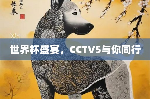 世界杯盛宴，CCTV5与你同行