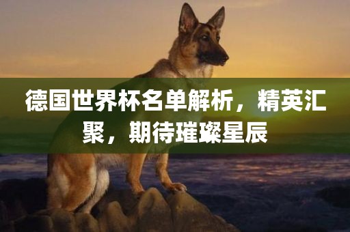 德国世界杯名单解析，精英汇聚，期待璀璨星辰