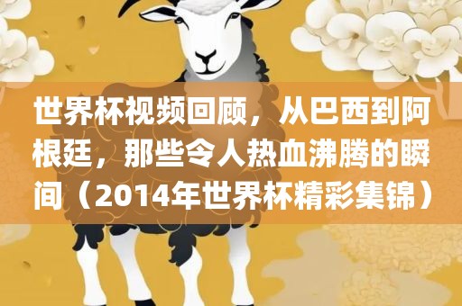 世界杯视频回顾，从巴西到阿根廷，那些令人热血沸腾的瞬间（2014年世界杯精彩集锦）