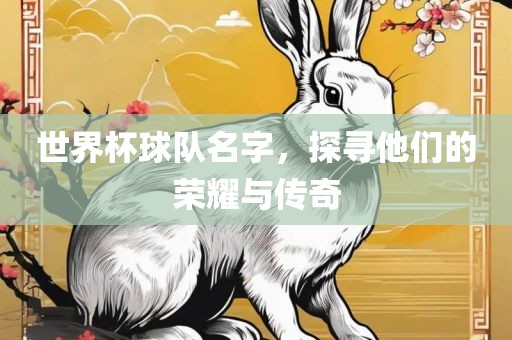 世界杯球队名字，探寻他们的荣耀与传奇