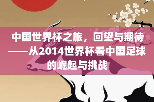 中国世界杯之旅，回望与期待——从2014世界杯看中国足球的崛起与挑战