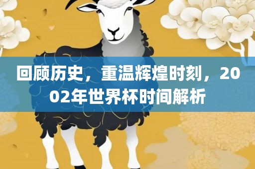 回顾历史，重温辉煌时刻，2002年世界杯时间解析