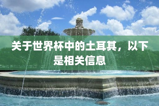 关于世界杯中的土耳其，以下是相关信息