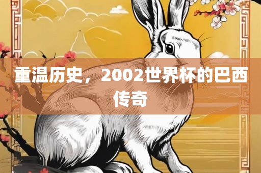 重温历史，2002世界杯的巴西传奇