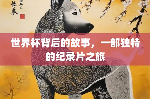 世界杯背后的故事，一部独特的纪录片之旅