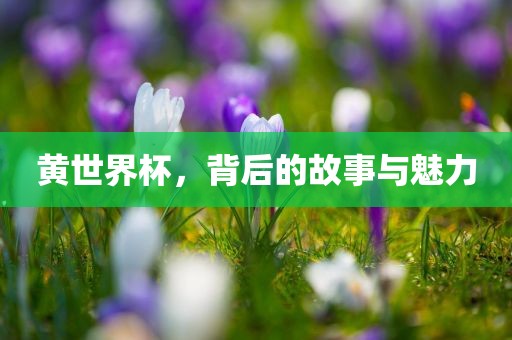 黄世界杯，背后的故事与魅力