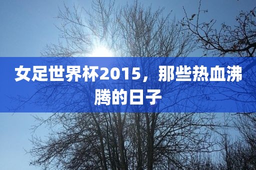 女足世界杯2015，那些热血沸腾的日子