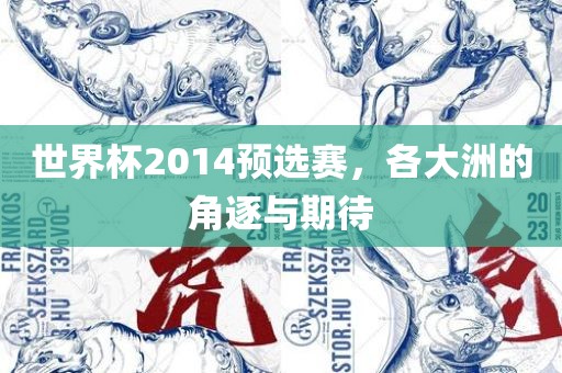 世界杯2014预选赛，各大洲的角逐与期待