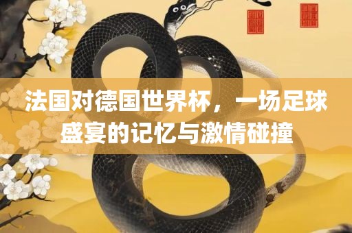 法国对德国世界杯，一场足球盛宴的记忆与激情碰撞