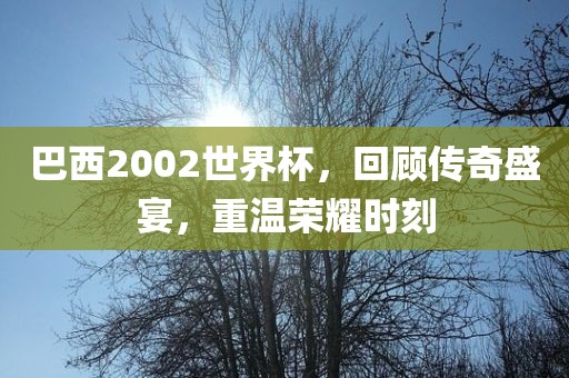 巴西2002世界杯，回顾传奇盛宴，重温荣耀时刻