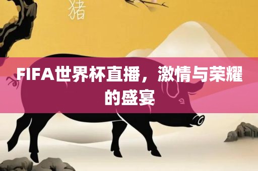 FIFA世界杯直播，激情与荣耀的盛宴
