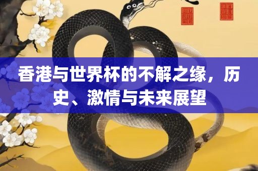 香港与世界杯的不解之缘，历史、激情与未来展望