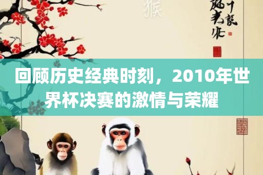 回顾历史经典时刻，2010年世界杯决赛的激情与荣耀